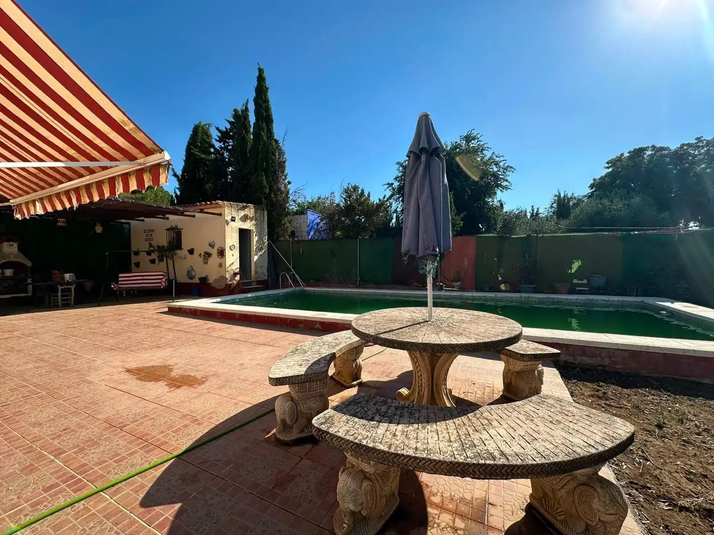 Piscina de Casa o xalet en venda en Marchena