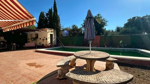 Photo 5 of Houses for sale in Diseminados, Marchena, Sevilla