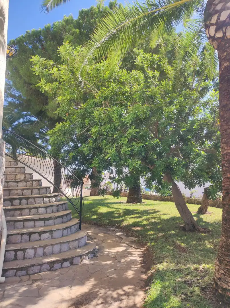 Jardí de Casa adosada de lloguer en Peñíscola / Peníscola amb Jardí privat, Terrassa i Traster