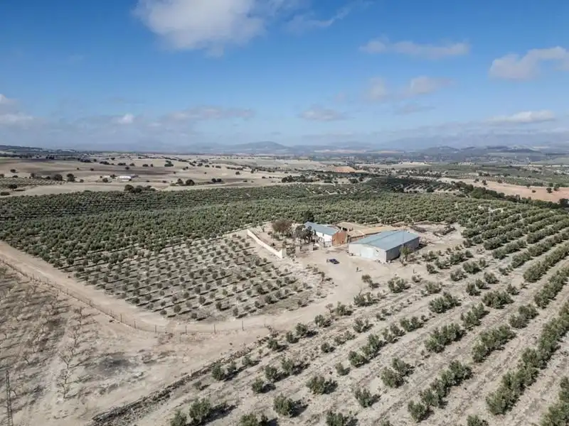 Land for sale in Alamedilla
