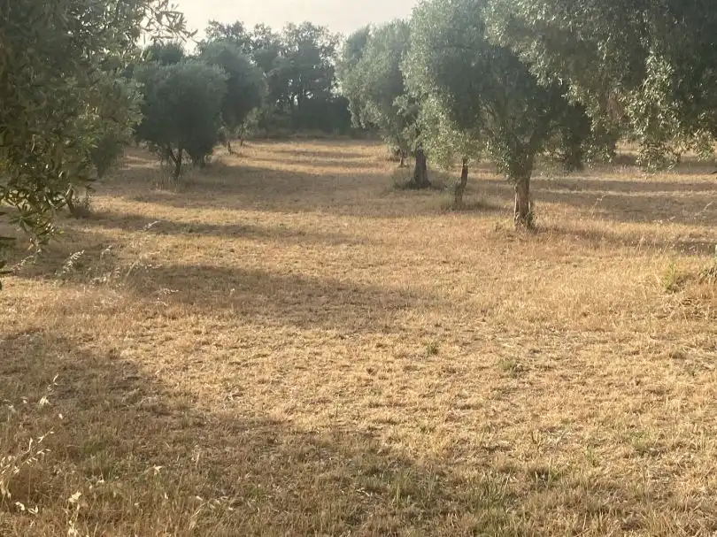 Rural land for sale in disseminat s/n, imagen 8