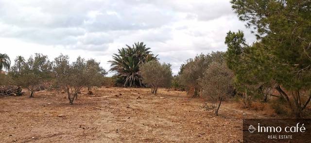 Terreno en Venta en Ptda La Marina en La Marina
