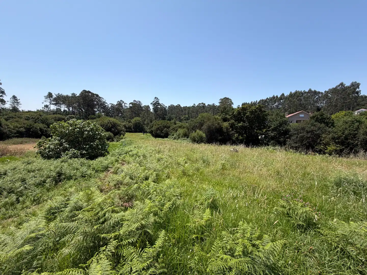 Grundstücke und Bauplätze zum Verkauf in Estrada de Porto Cabeiro, imagen 5