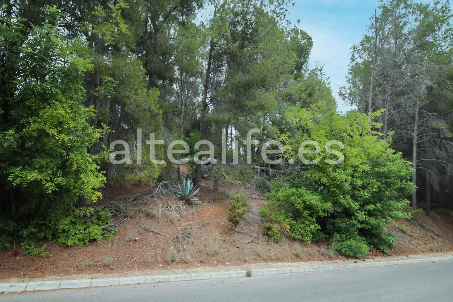 Terreny residencial en venda a Carrer Figuera, imagen 8