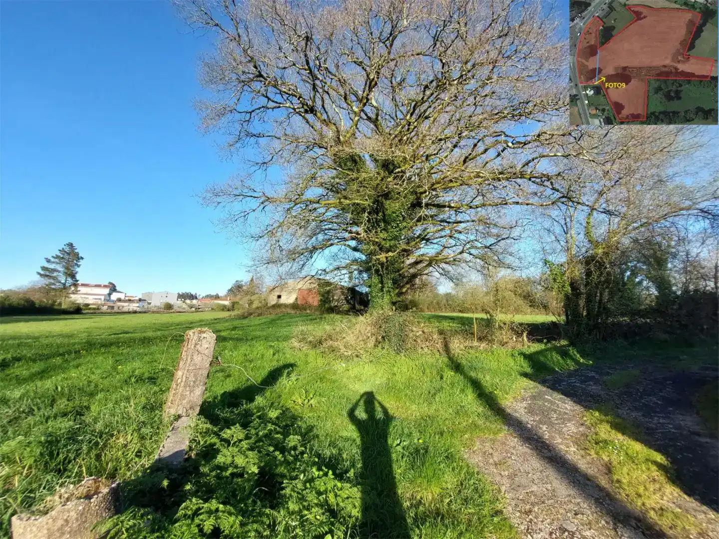 Land for sale in Curtis