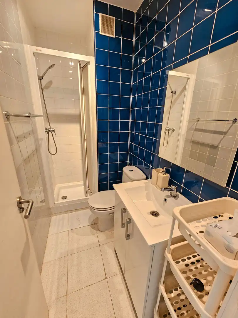 Apartamento de alquiler en Calle de Carnicer, 20, Bellas Vistas