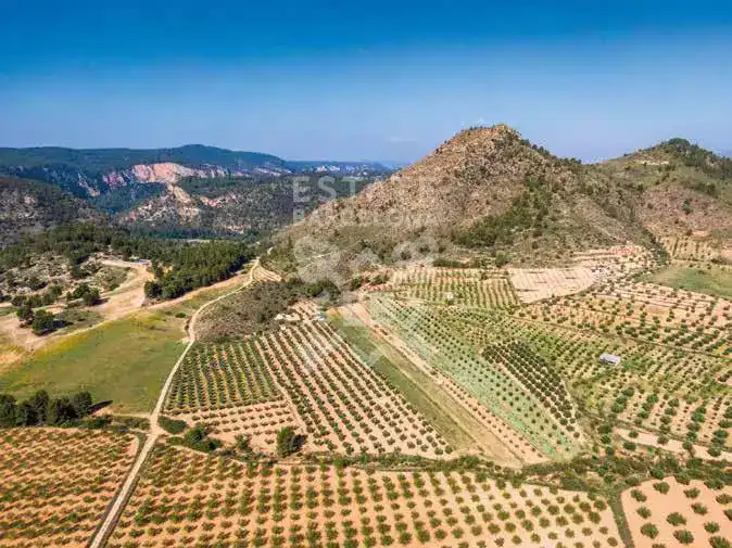 Edifici en venda en Elche de la Sierra