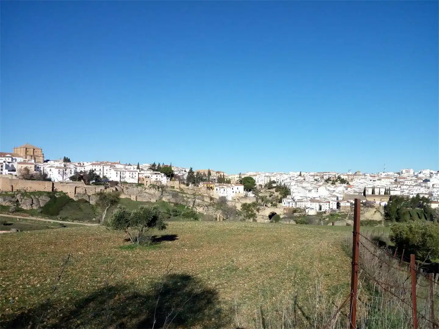 Vista exterior de Finca rústica en venda en Ronda