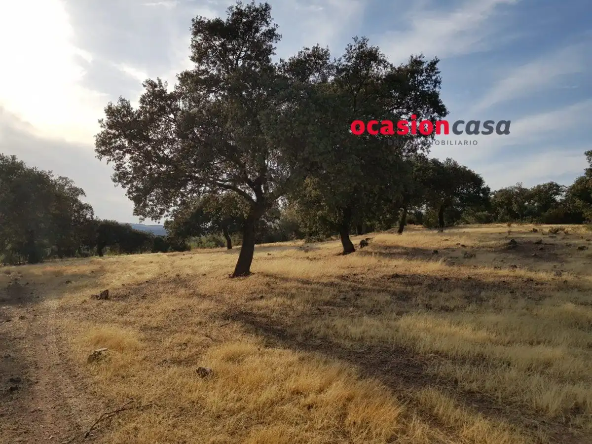 Finca rústica en venta en Espiel con Piscina y Amueblado