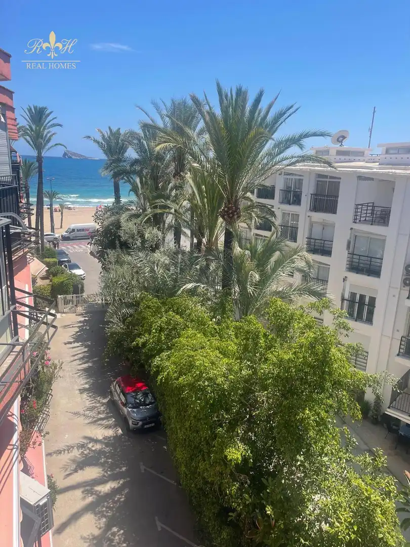 Exterior view of Flat for rent in Benidorm  with Terrace