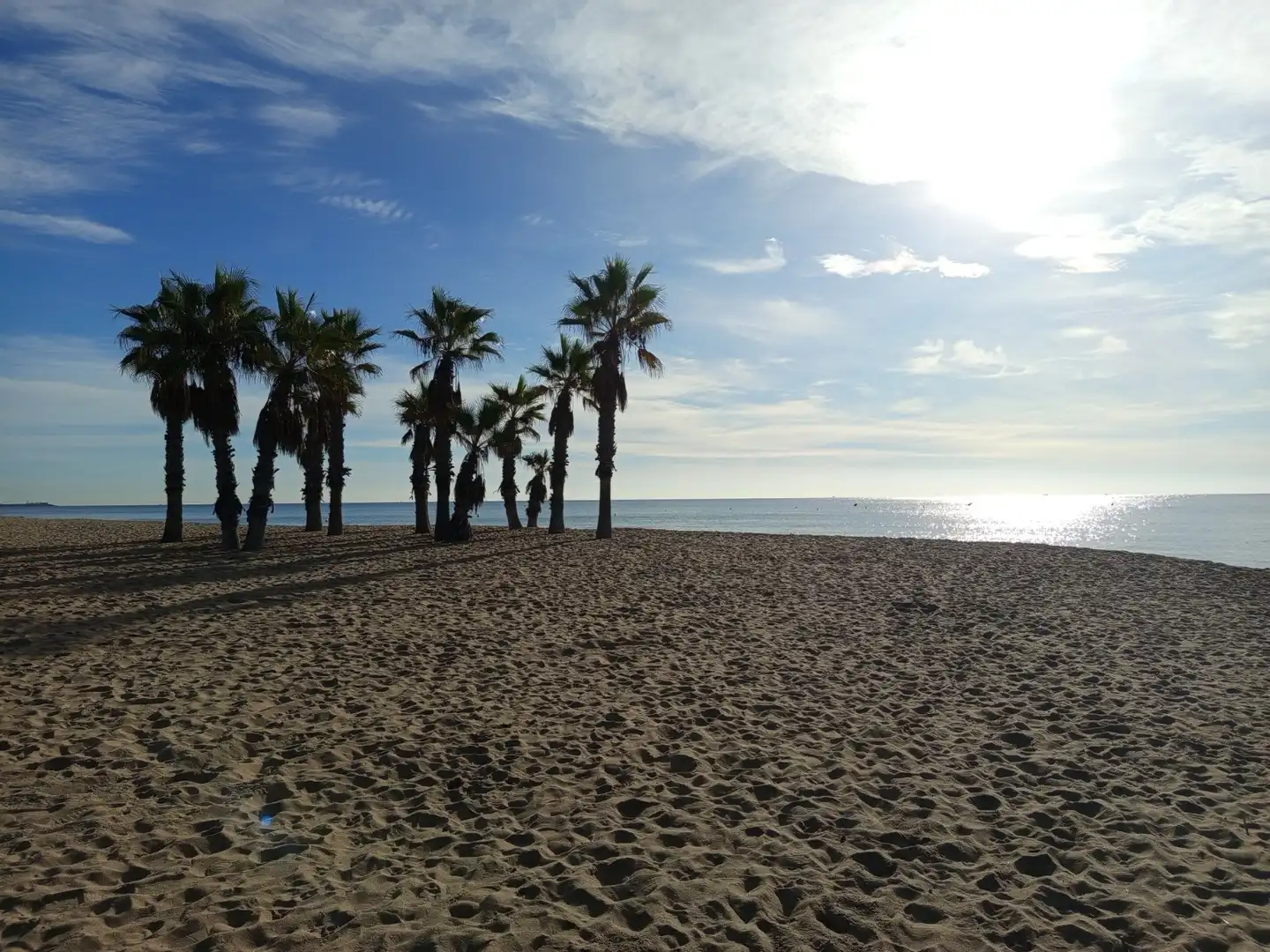 Gewerbefläche zum Verkauf in Roda de Barà, imagen 2