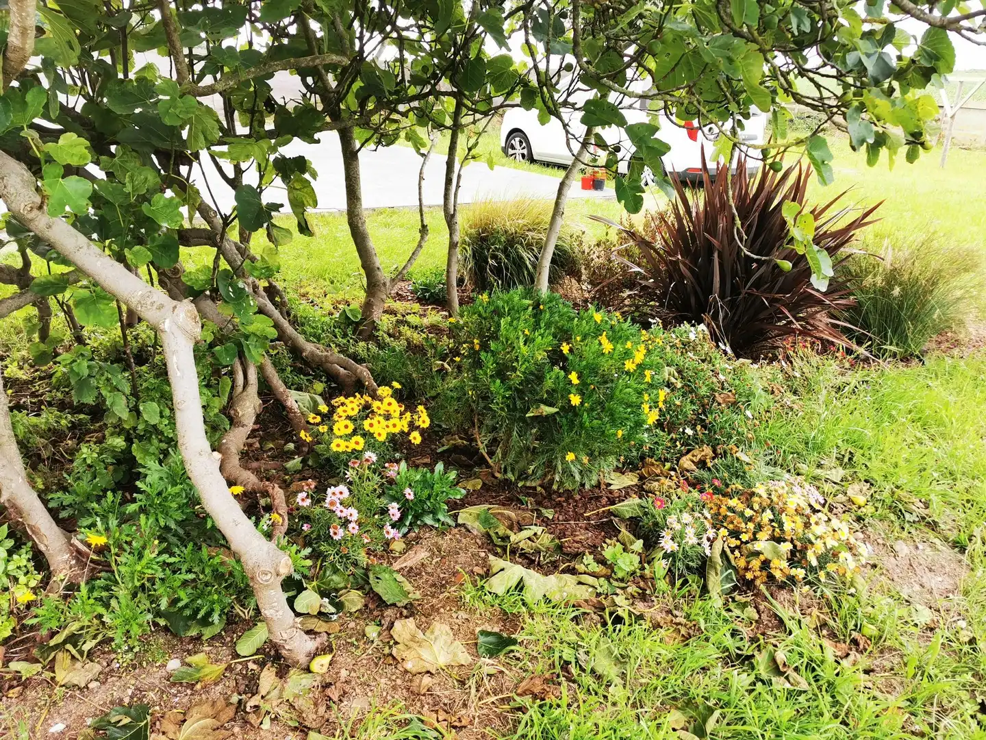 Jardí de Residencial en venda en Tapia de Casariego