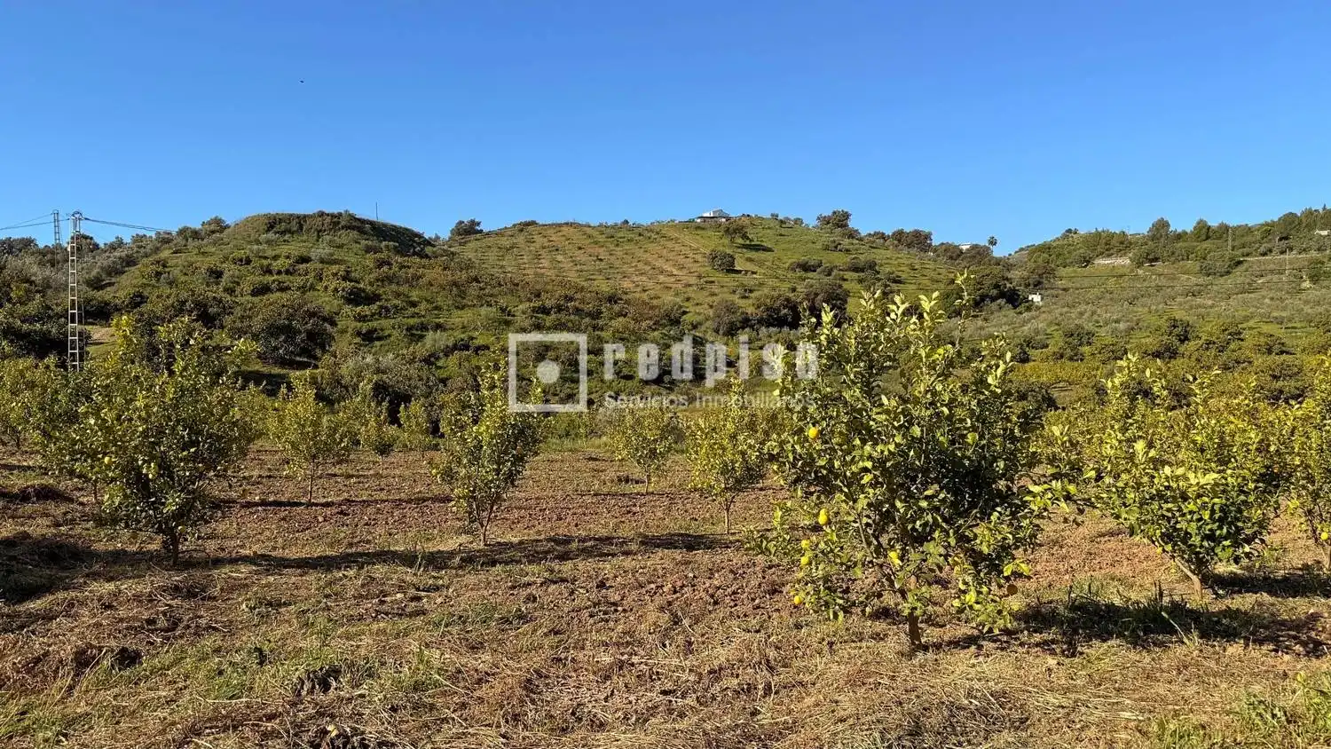 Casa con jardín en venta en Diseminados, imagen 38