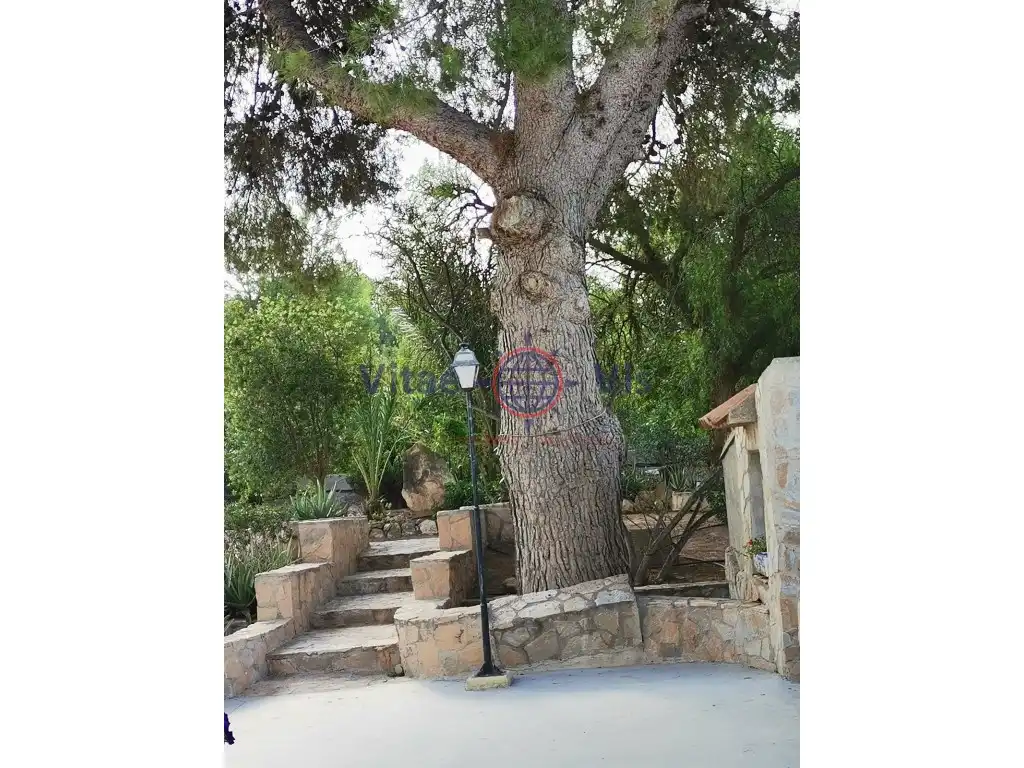 Casa amb jardí en venda a Pedanías Sur, imagen 8
