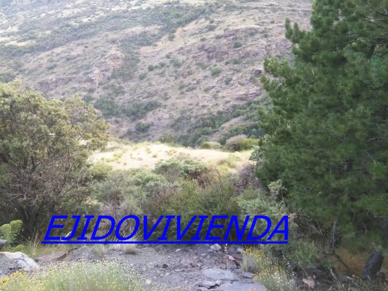 Terreni e lotti in vendita a Nevada, imagen 4