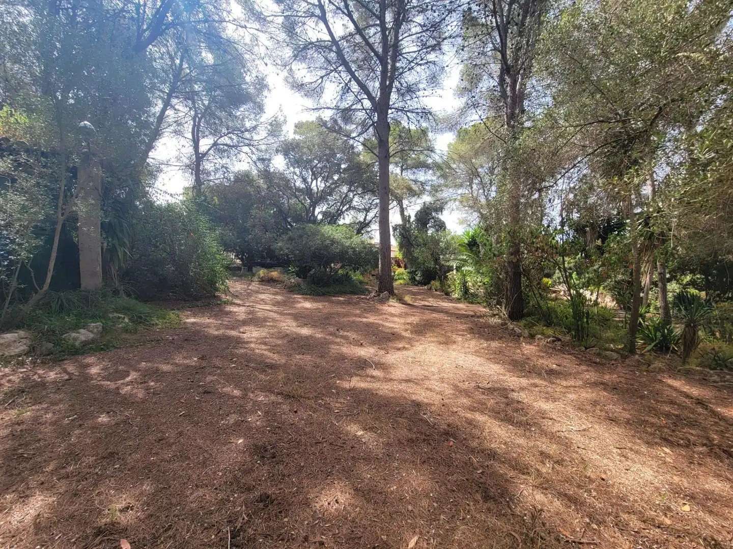 Lands and plots for sale in Avenida dels Pirineus, imagen 7