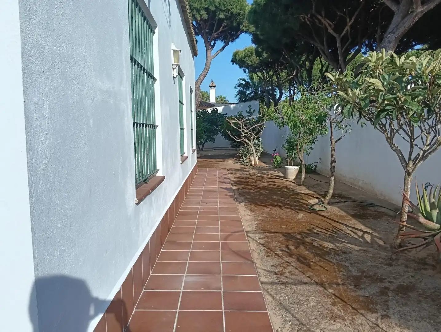 Jardí de Casa o xalet en venda en Chiclana de la Frontera amb Jardí privat