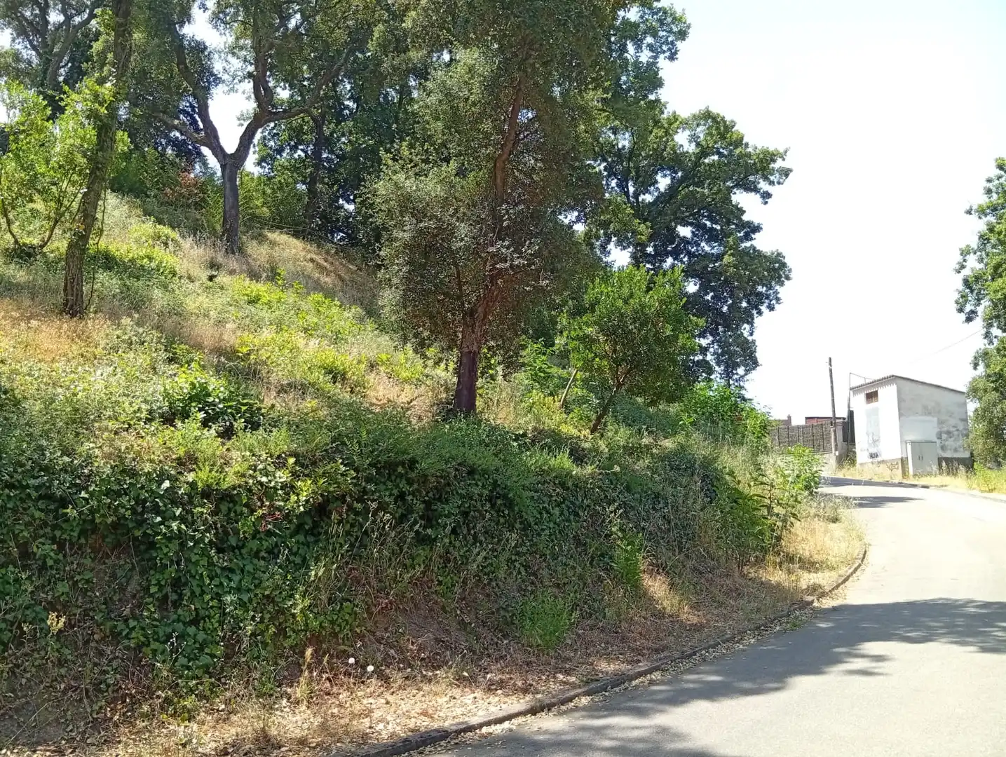 Residential for sale in Vallgorguina