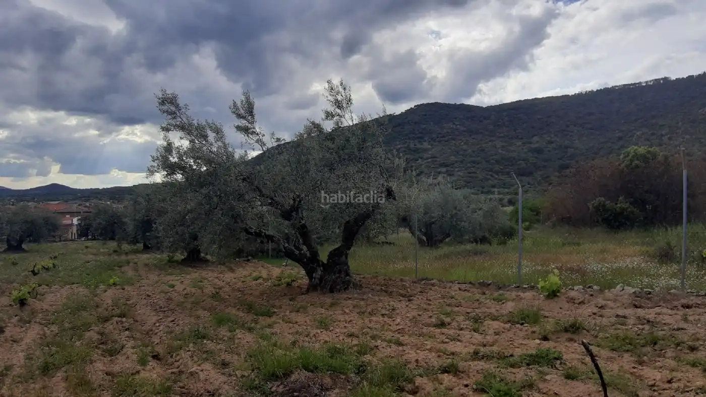 Wohnbaugrundstück zum Verkauf in Calle Pera Pere 6, imagen 4