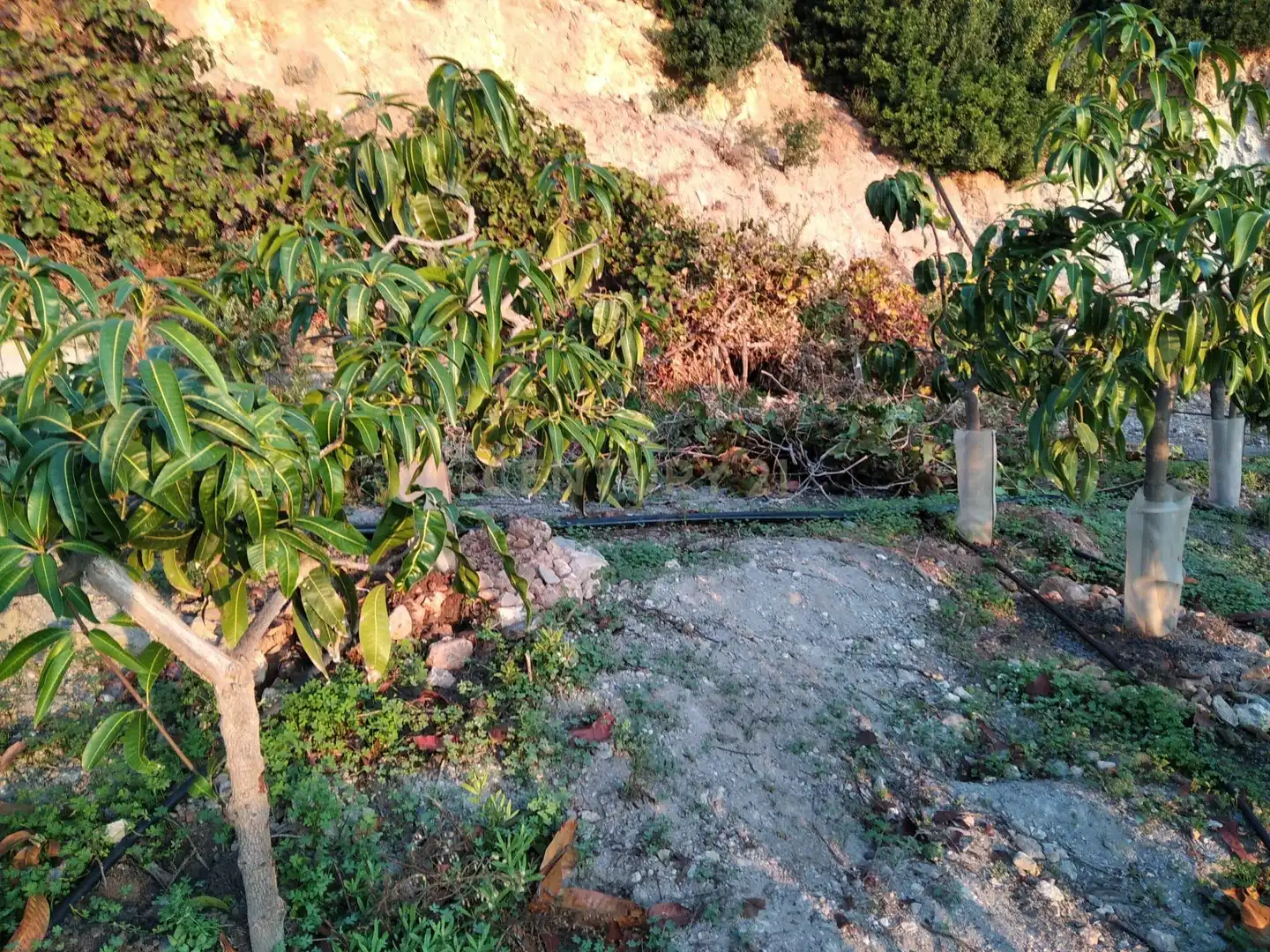 Terreni e lotti in vendita a PHPX+WF Gualchos, Spain, imagen 52