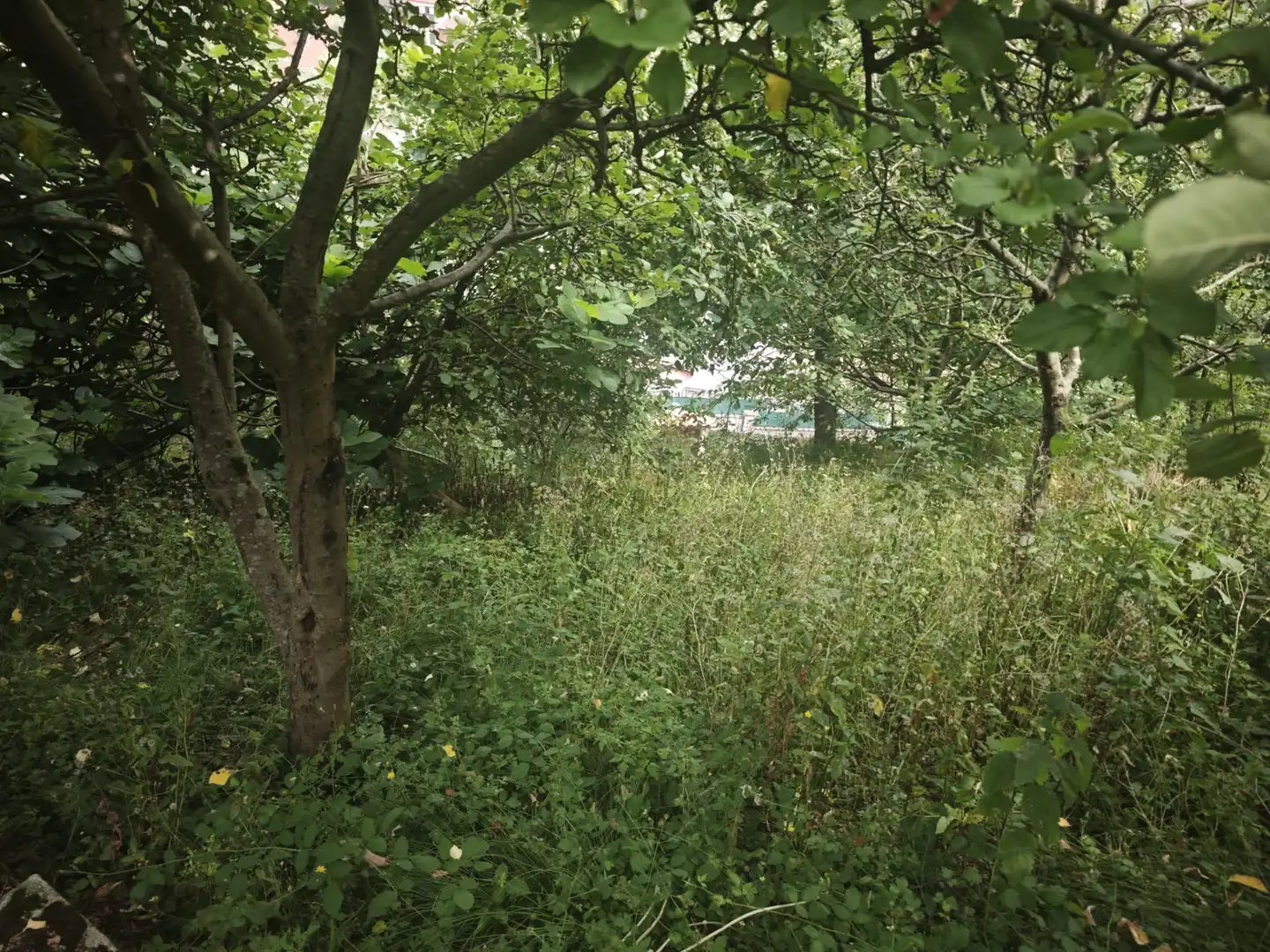 Finca rústica en venda en Mieres (Asturias) amb Jardí privat i Traster