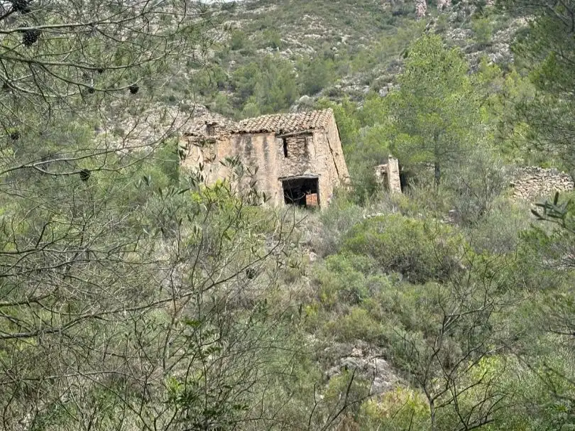 Vista exterior de Terreno en venta en Tivissa