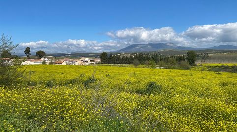 FINCA EN FUENSANTA, immagine 2
