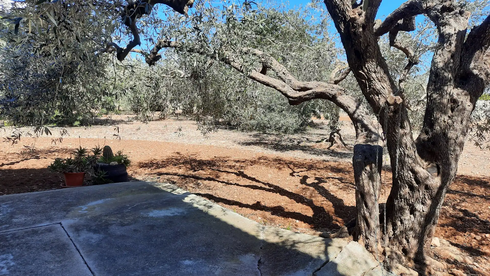 Villa avec terrasse à vendre à Les Salines, imagen 39