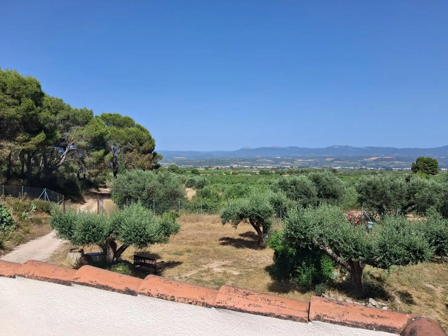 Finca rústica en venda en Móra d'Ebre