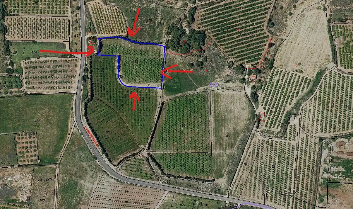 Terreno rústico en venta en Carrer Penyes Roges 4, imagen 10