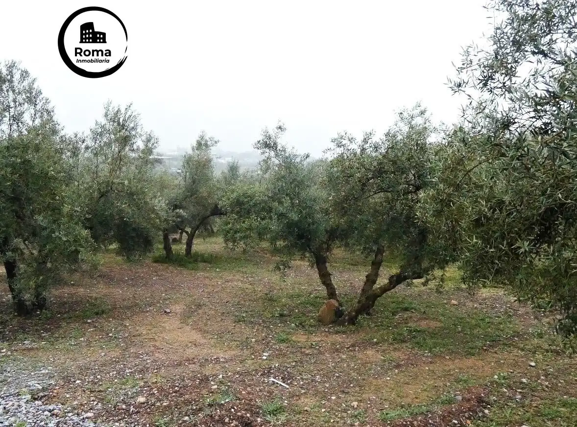 Terrain rustique à vendre à Peligros, imagen 19