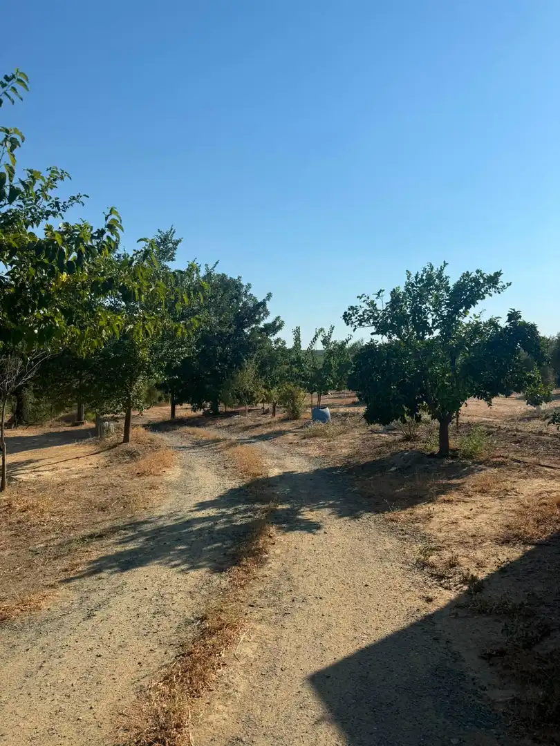 Casa o xalet en venda en Villanueva del Río y Minas amb Jardí privat, Terrassa i Traster