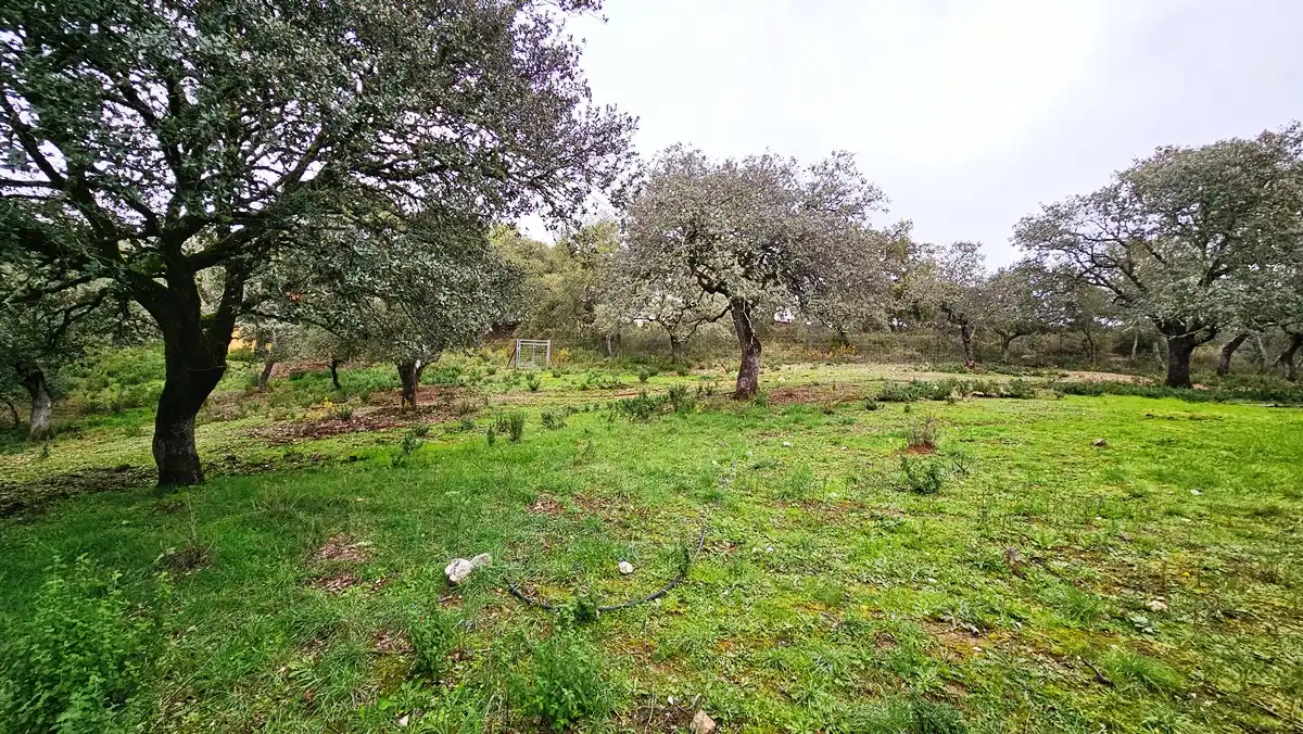 Finca rústica en venta en Santa Ana la Real con Calefacción, Jardín privado y Terraza