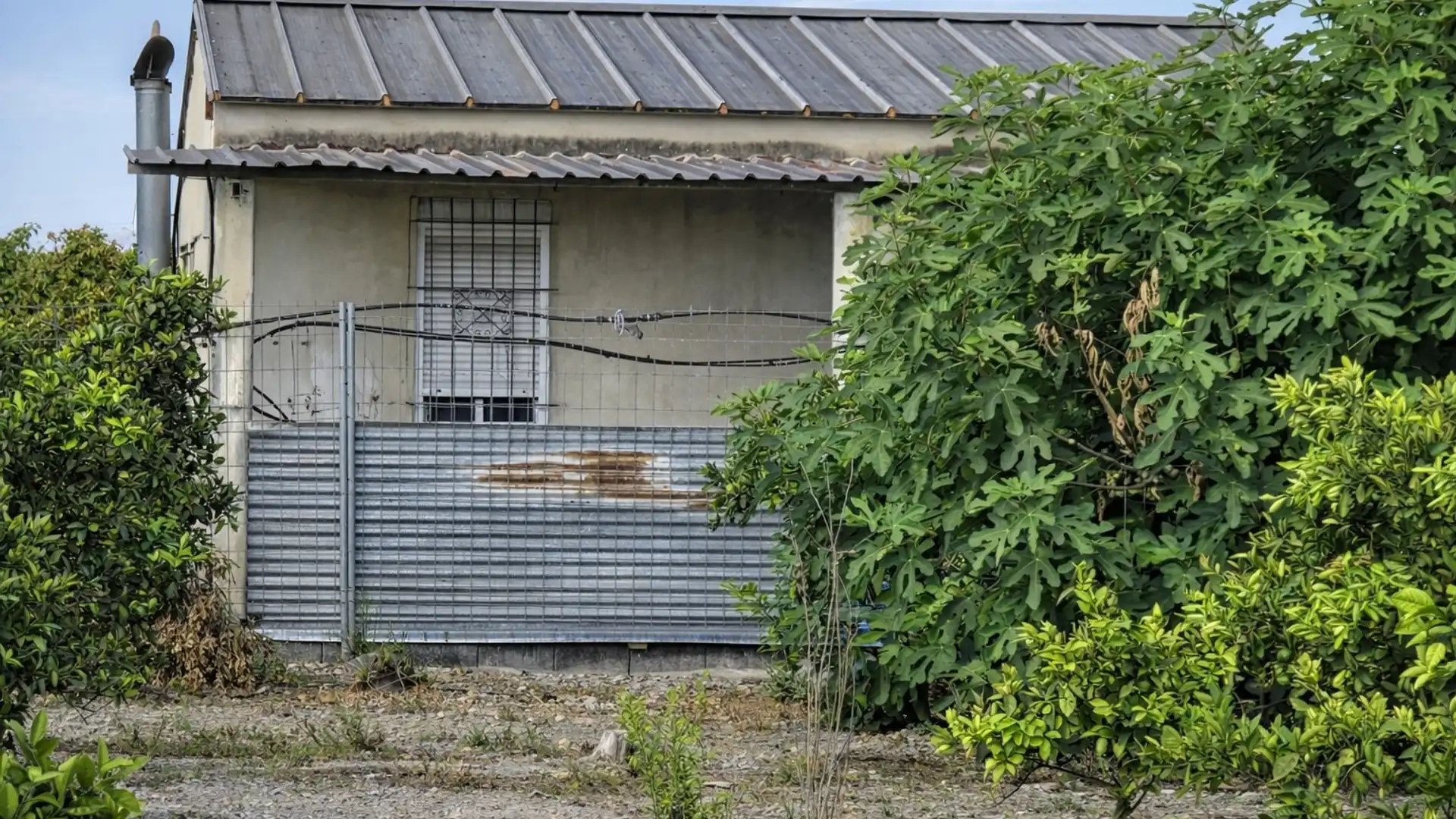 Vista exterior de Finca rústica en venta en Senyera con Jardín privado y Terraza