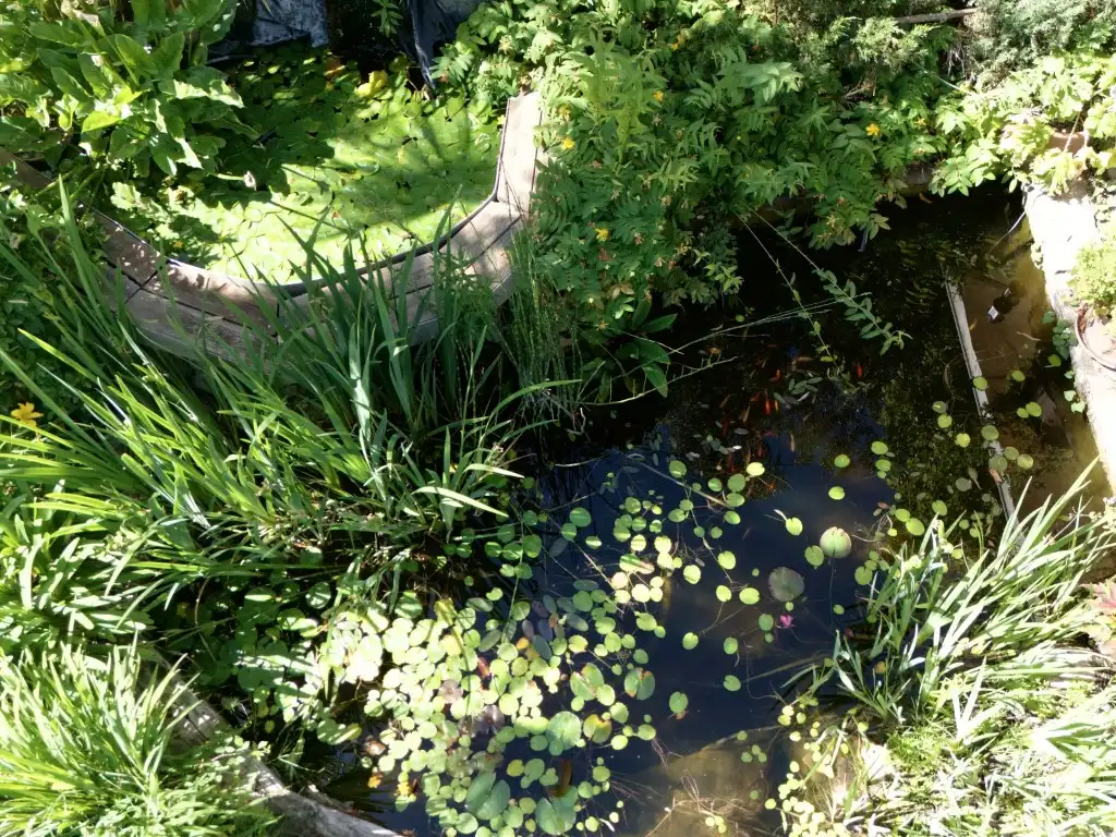 Jardí de Casa o xalet en venda en Ciudalcampo
