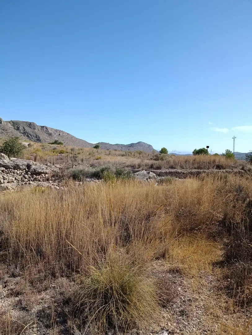 Terreno rustico in vendita a Hondón de las Nieves / El Fondó de les Neus, imagen 14