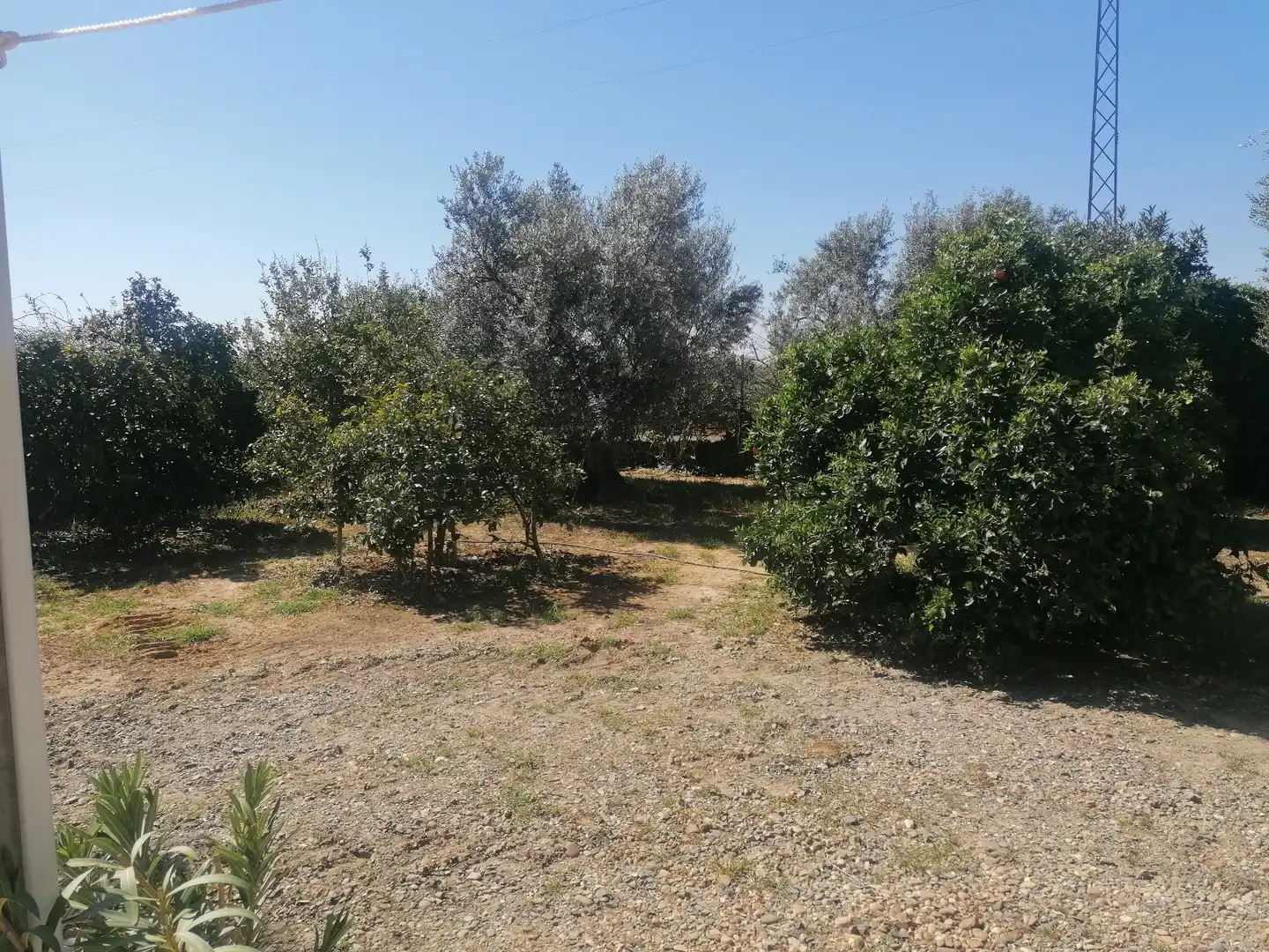Chalet con jardín en venta en La Carlota, imagen 3