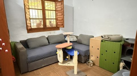 Foto 2 de Casa o xalet en venda a Calle Pablo Ruiz Picasso, -1, Pinos de Alhaurín, Alhaurín de la Torre
