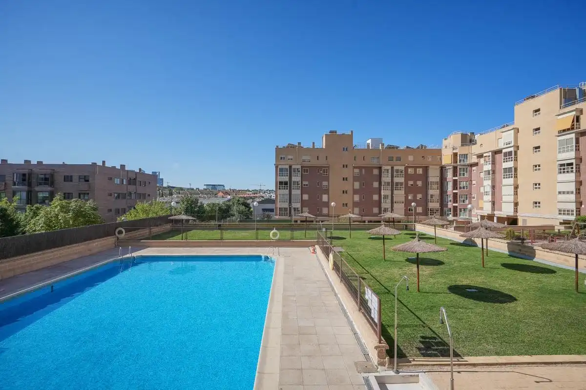Swimming pool of Flat for rent in Madrid  with Air Conditioner, Heating and Terrace