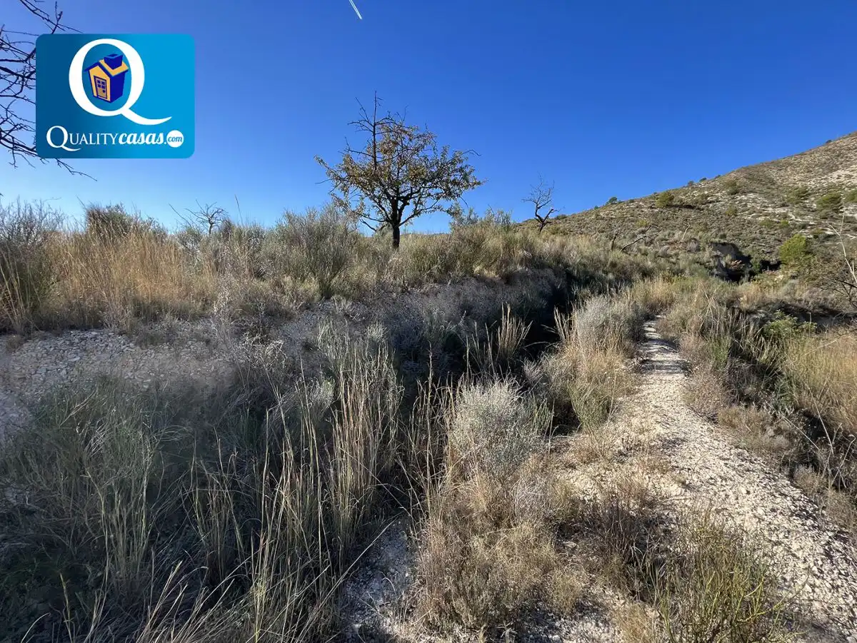 Terrenos y solares en venta en Orxeta, imagen 3