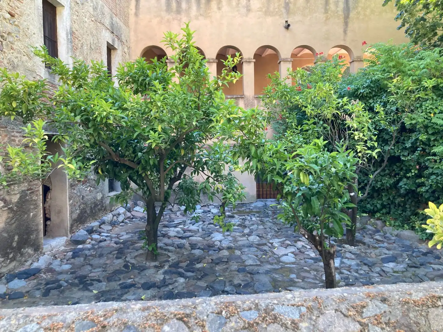 Jardín de Local de alquiler en L'Aleixar con Terraza