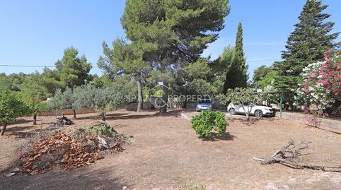 Chalet en venta en suelo rústico en Turís, imatge 3