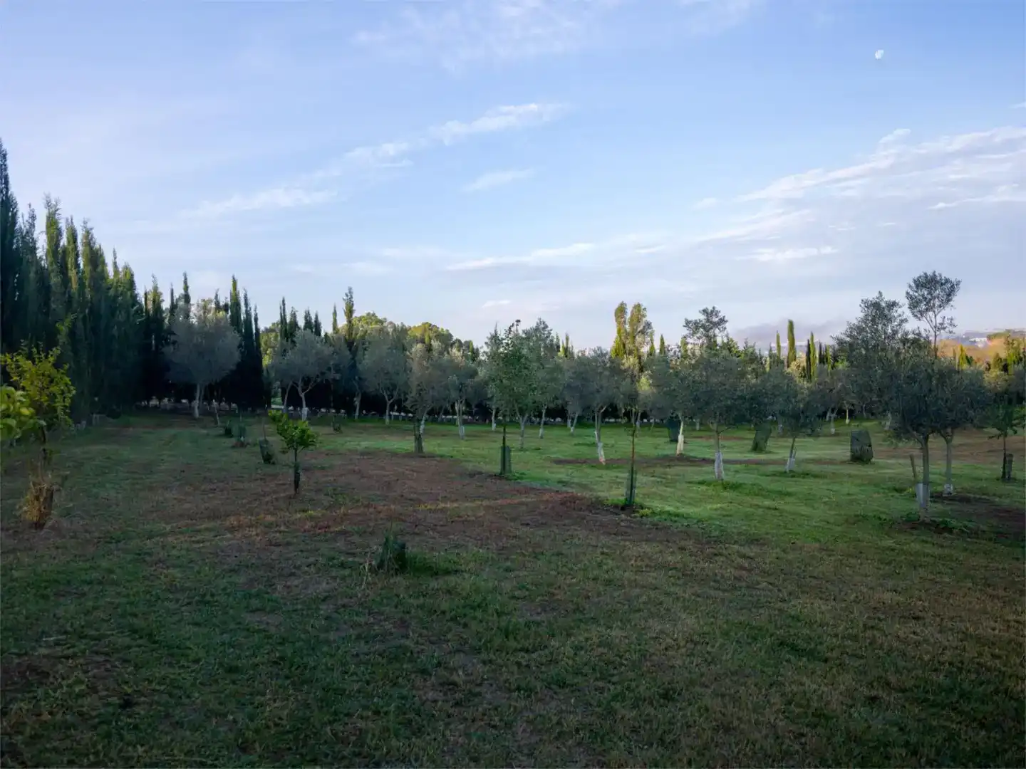 Finca rústica en venda en Jerez de la Frontera amb Jardí privat