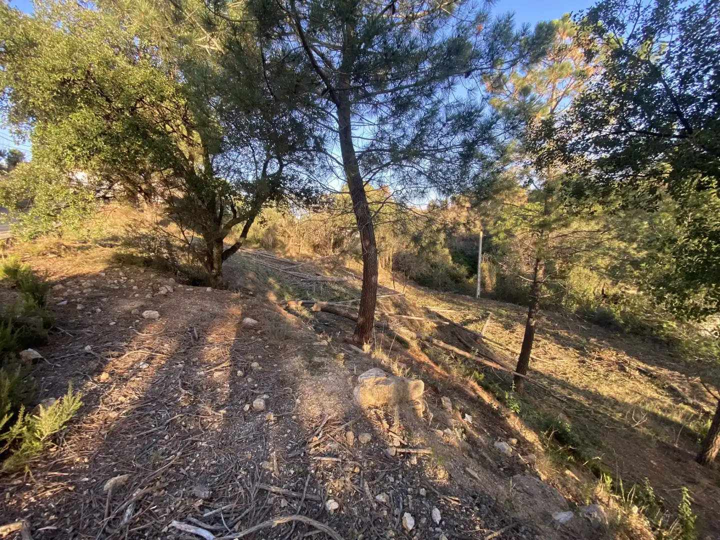 Terreno residencial en venta en Carrer Pi 7, imagen 12