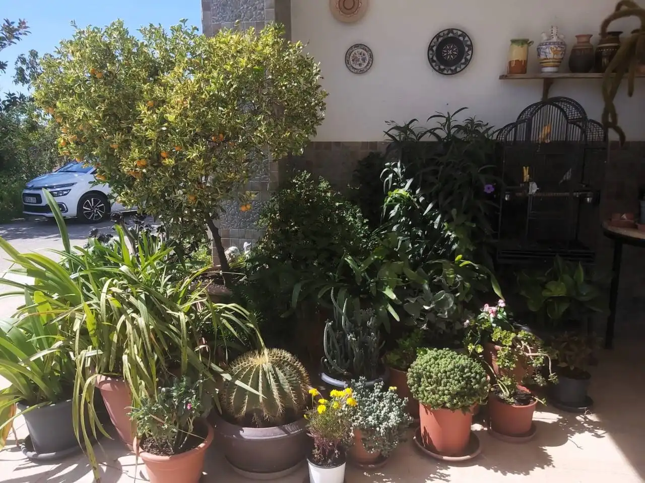 Casa rustica con piscina in vendita a Valls, imagen 9