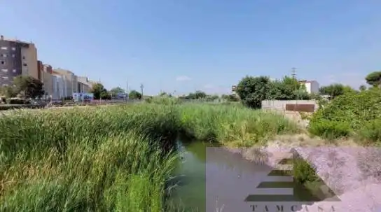 Terrenys i solars en venda a Alcudia de Veo, imagen 3