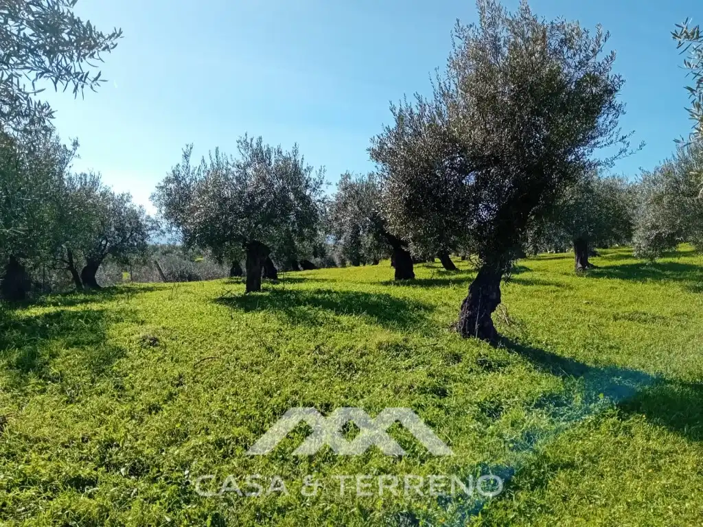 Casa o xalet en venda en Alozaina amb Piscina