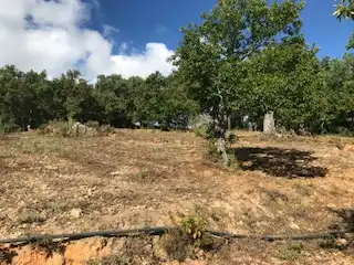 Terreni e lotti in vendita a Cortegana