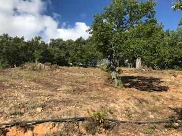 Terreno rustico in vendita a Cortegana