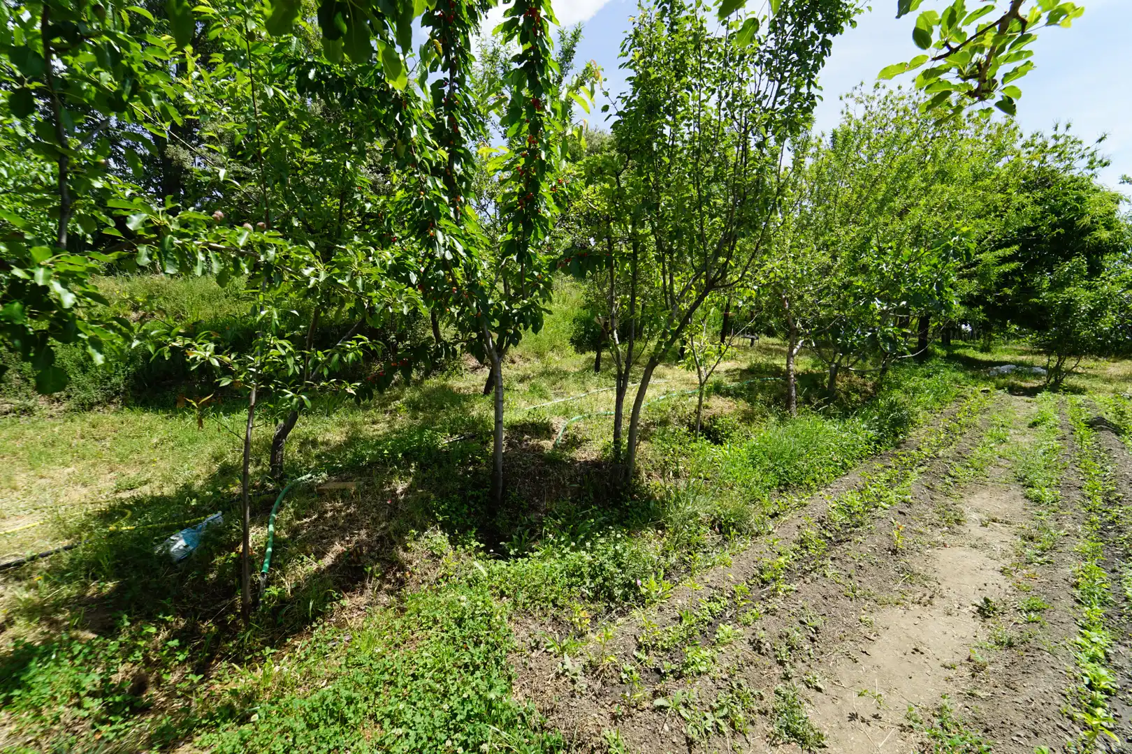 Finca rústica en venda en La Taha amb Terrassa i Moblat